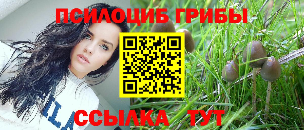 Урус-Мартан  Псилоцибиновые грибы Psilocybine cubensis  Галлюциногенные грибы MAGIC MUSHROOMS  Вход с VPN 